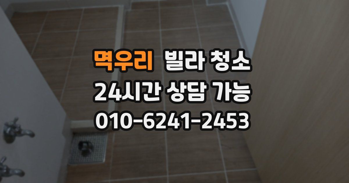 멱우리 빌라 청소