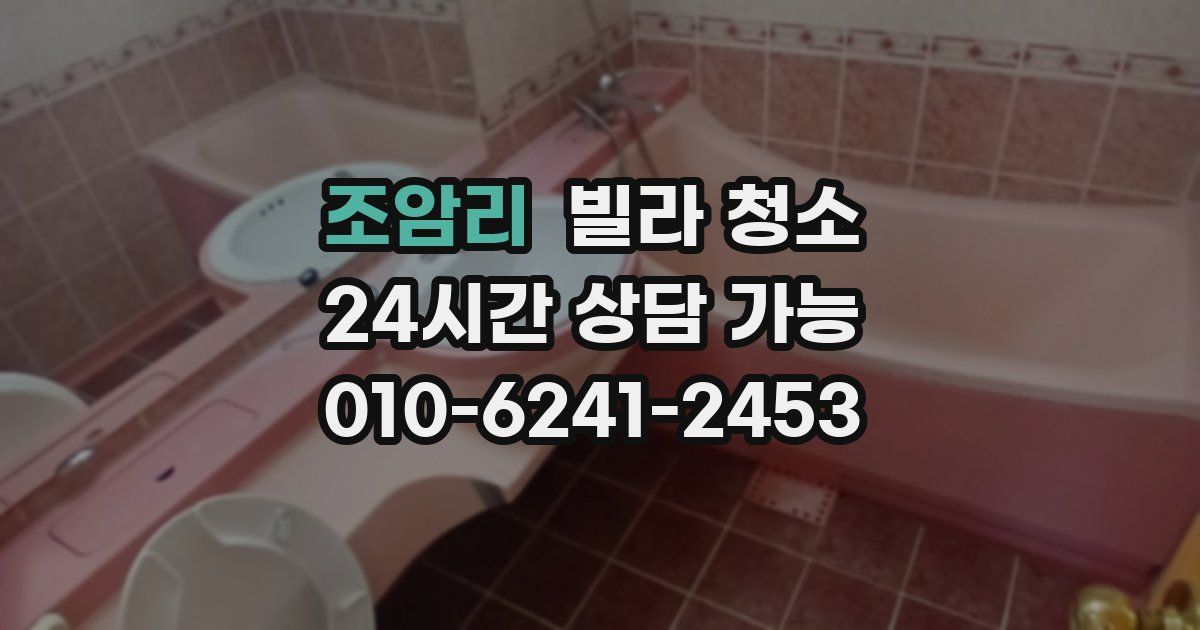 조암리 빌라 청소