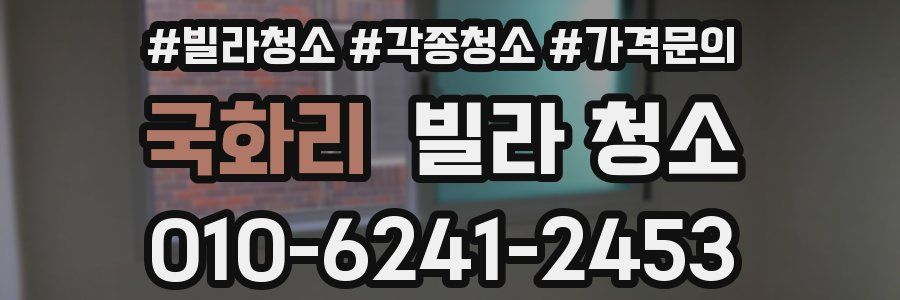 국화리 빌라 청소