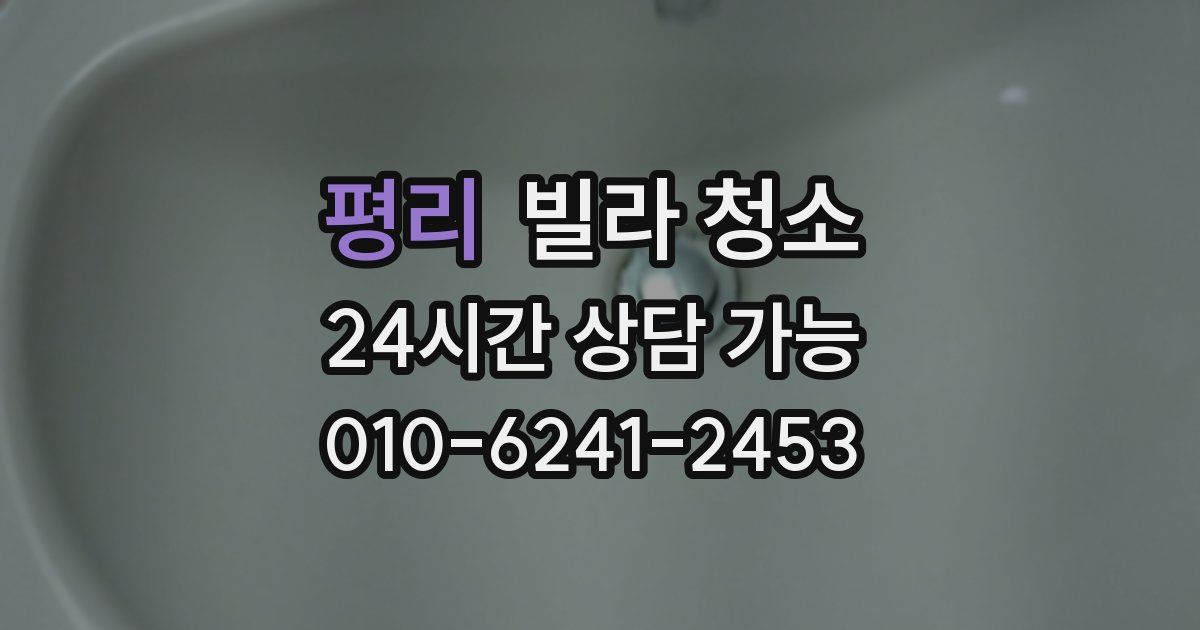 평리 빌라 청소