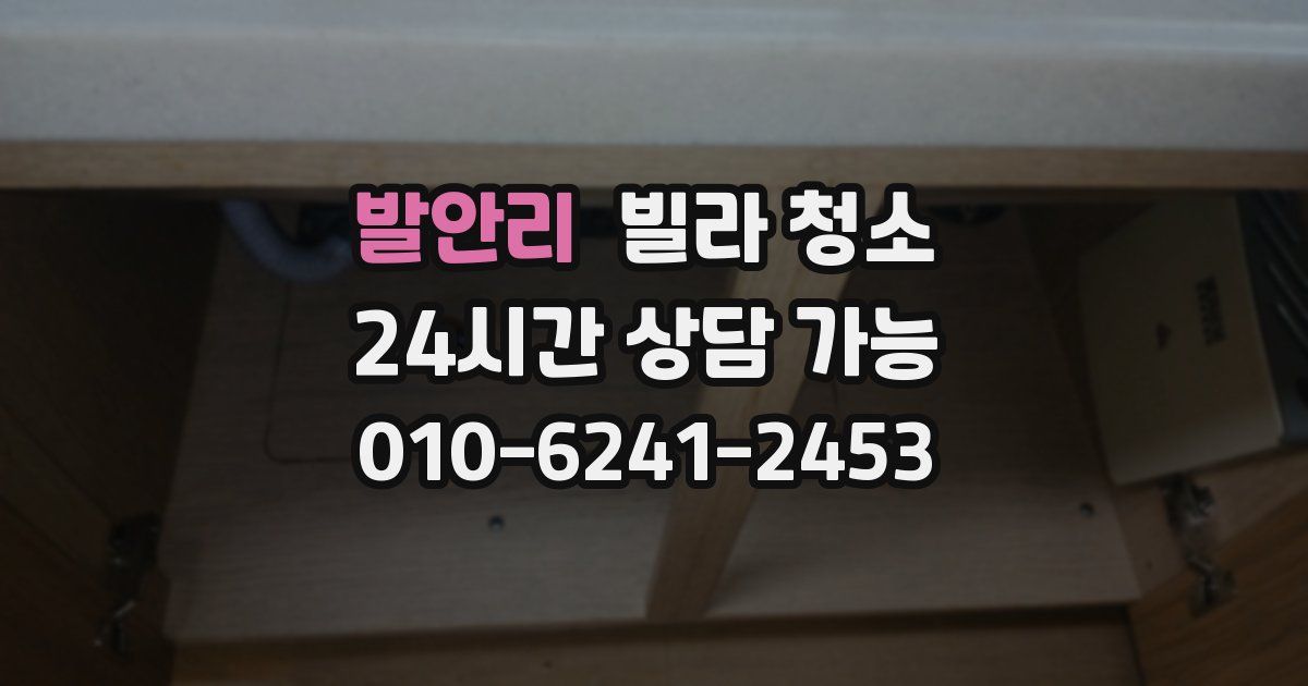 발안리 빌라 청소