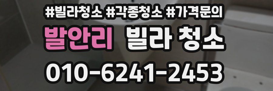 발안리 빌라 청소