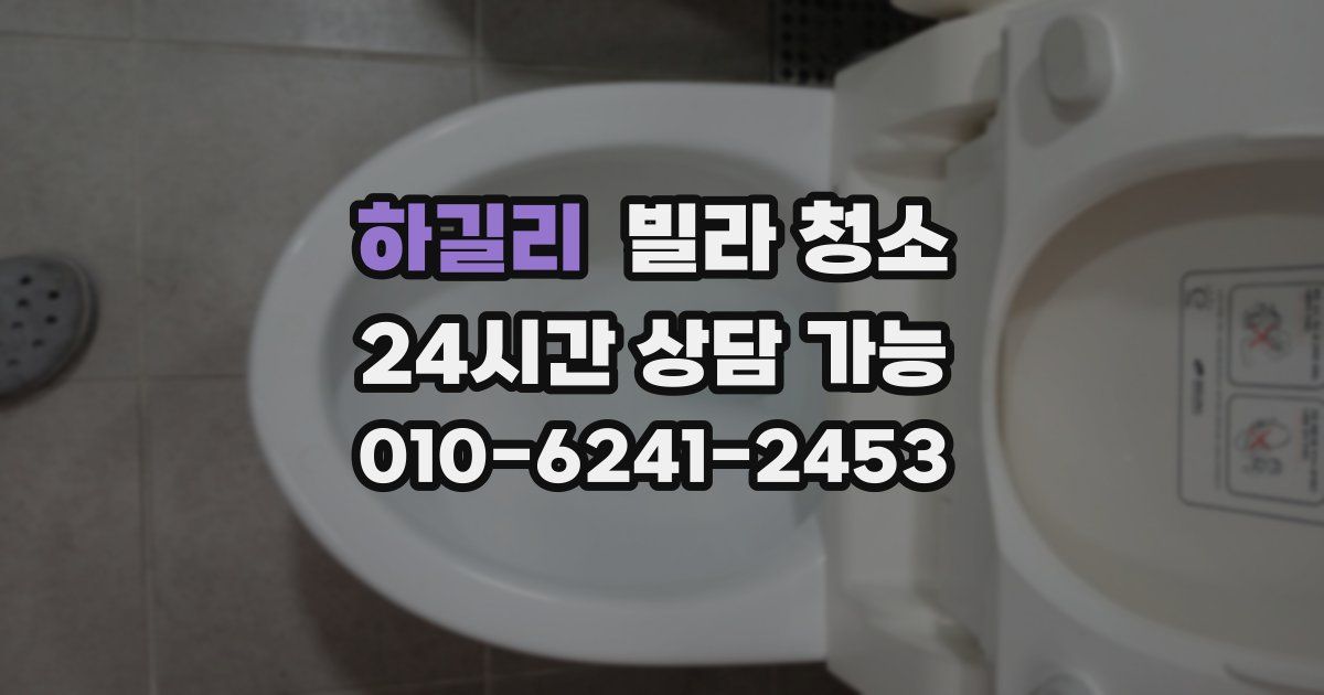 하길리 빌라 청소