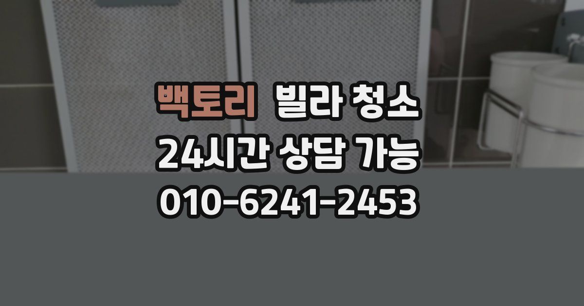 백토리 빌라 청소