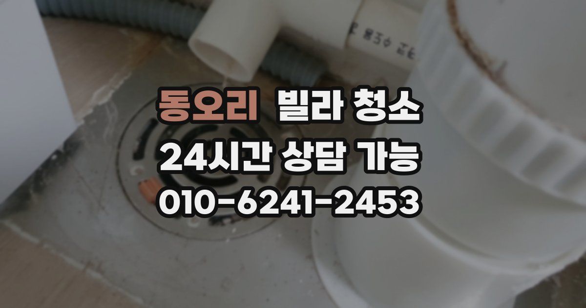 동오리 빌라 청소