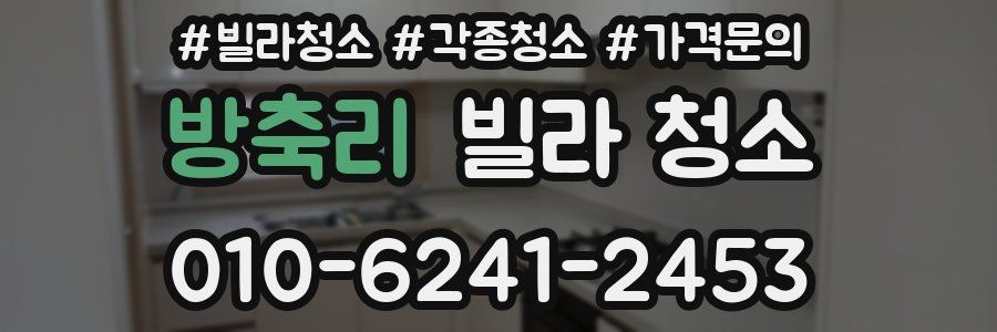 방축리 빌라 청소