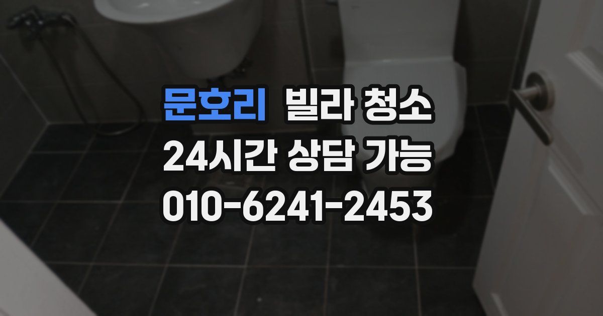 문호리 빌라 청소