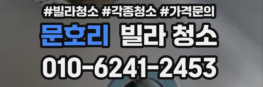 문호리 빌라 청소