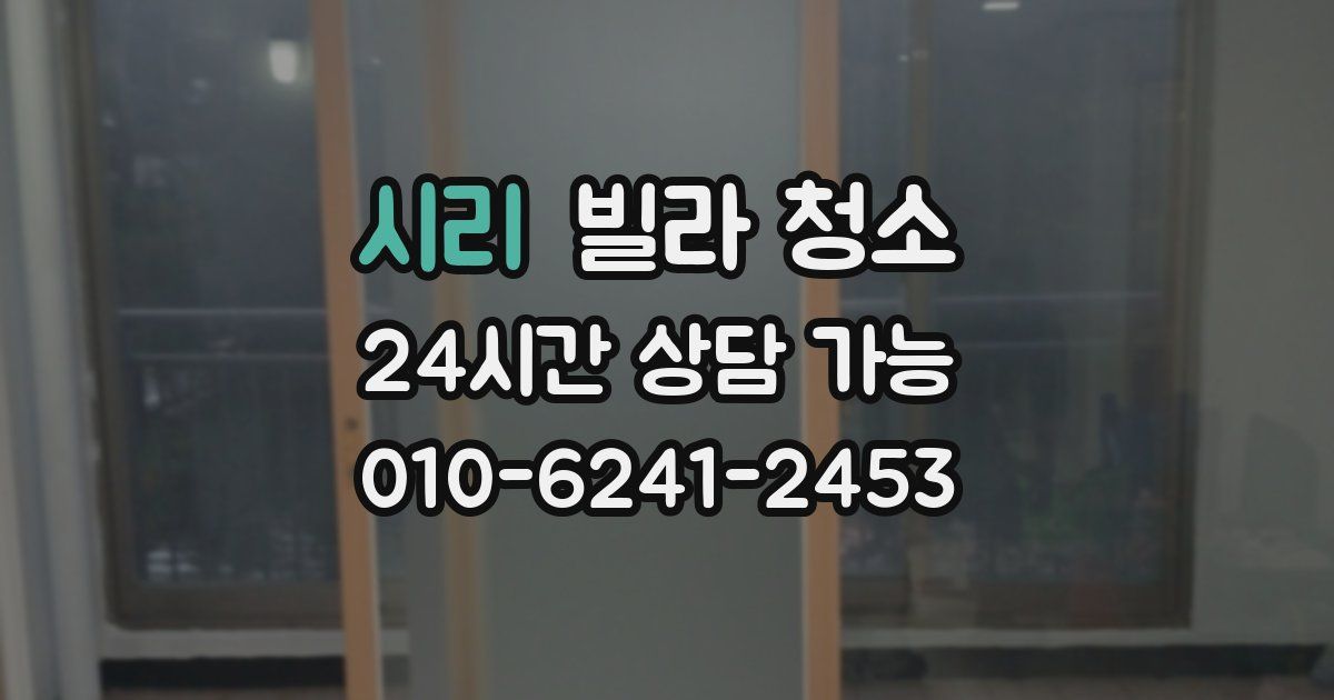 시리 빌라 청소