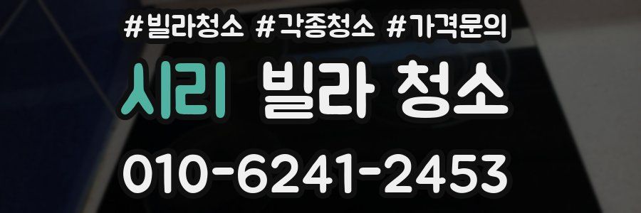 시리 빌라 청소