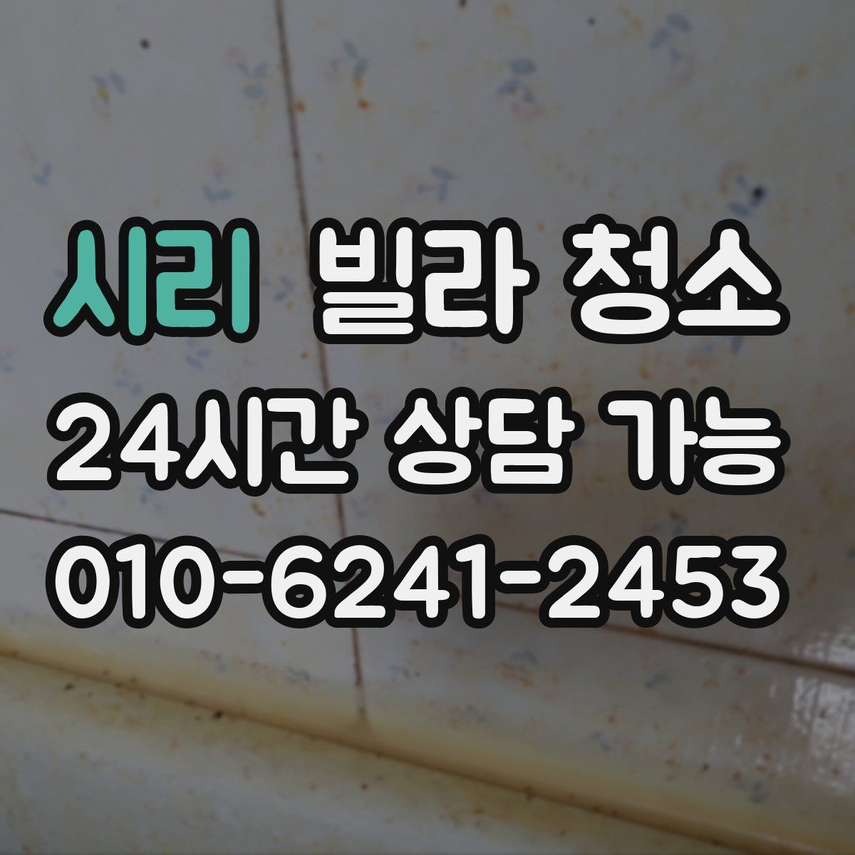 시리 빌라 청소