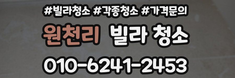 원천리 빌라 청소