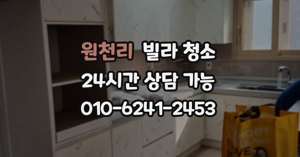 원천리 빌라 청소