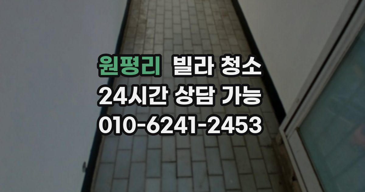 원평리 빌라 청소