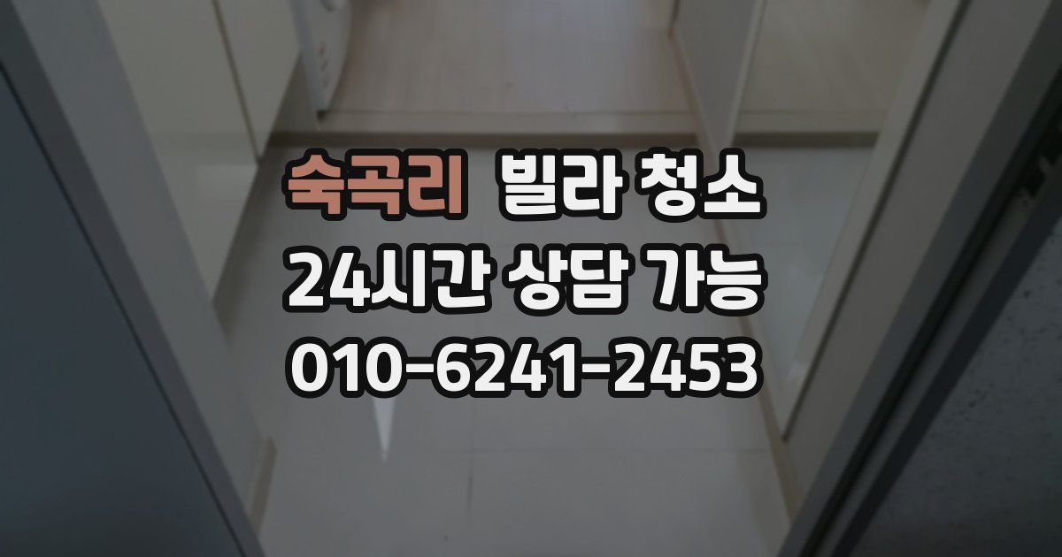 숙곡리 빌라 청소