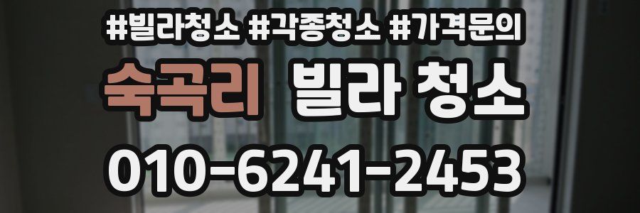 숙곡리 빌라 청소