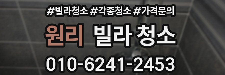 원리 빌라 청소