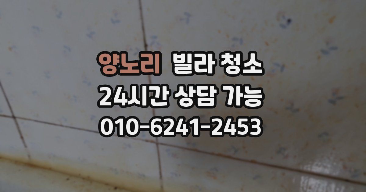 양노리 빌라 청소