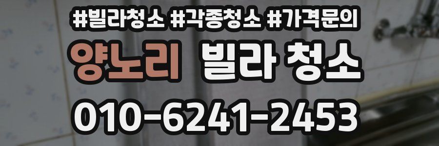 양노리 빌라 청소