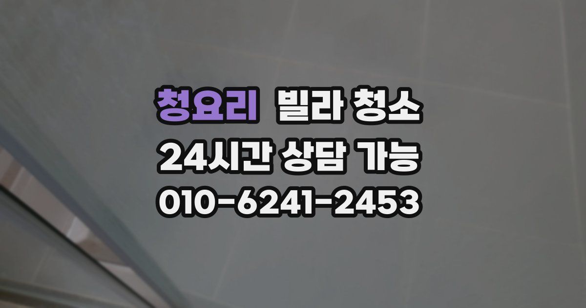 청요리 빌라 청소