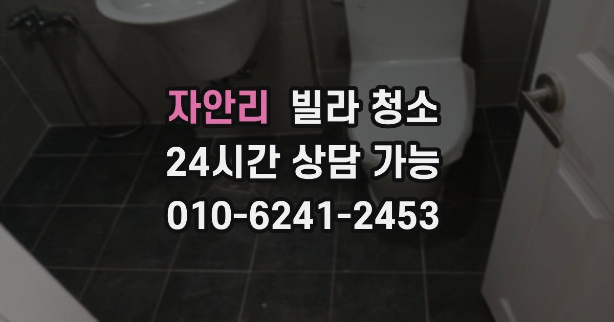 자안리 빌라 청소