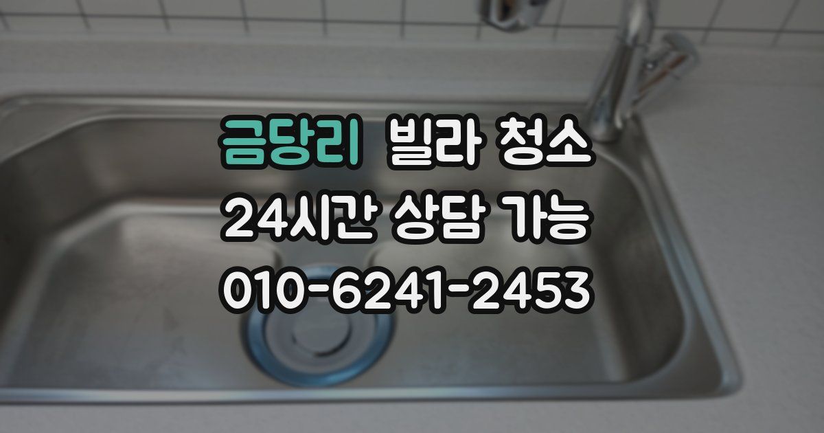 금당리 빌라 청소