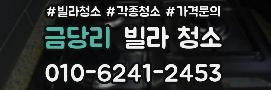 금당리 빌라 청소