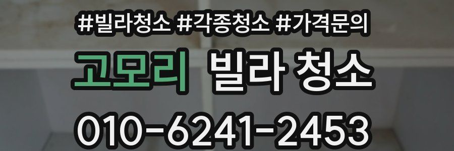 고모리 빌라 청소