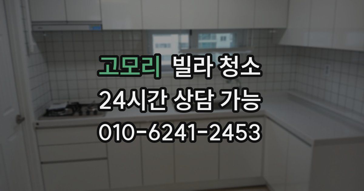 고모리 빌라 청소