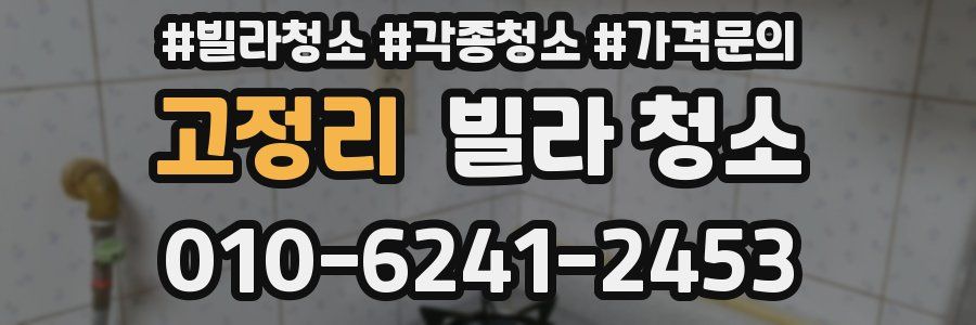 고정리 빌라 청소