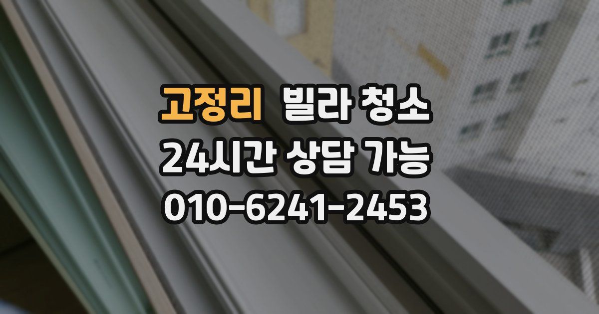 고정리 빌라 청소