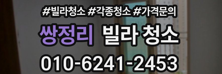 쌍정리 빌라 청소