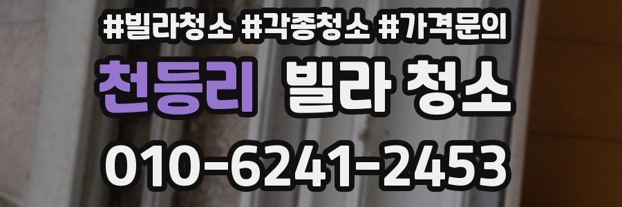 천등리 빌라 청소