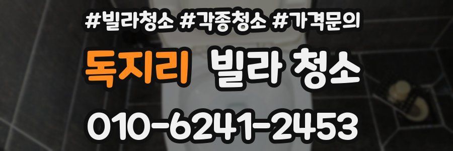 독지리 빌라 청소