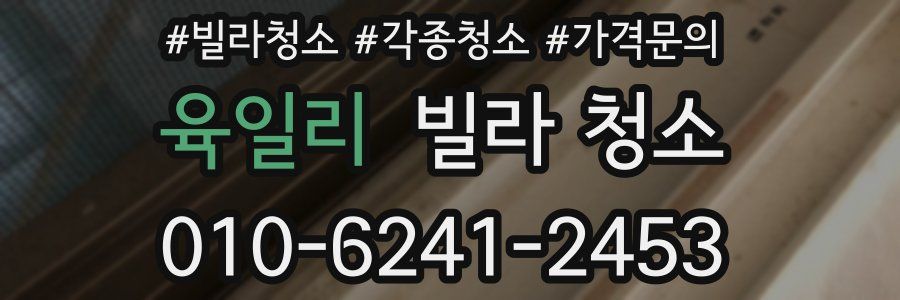 육일리 빌라 청소