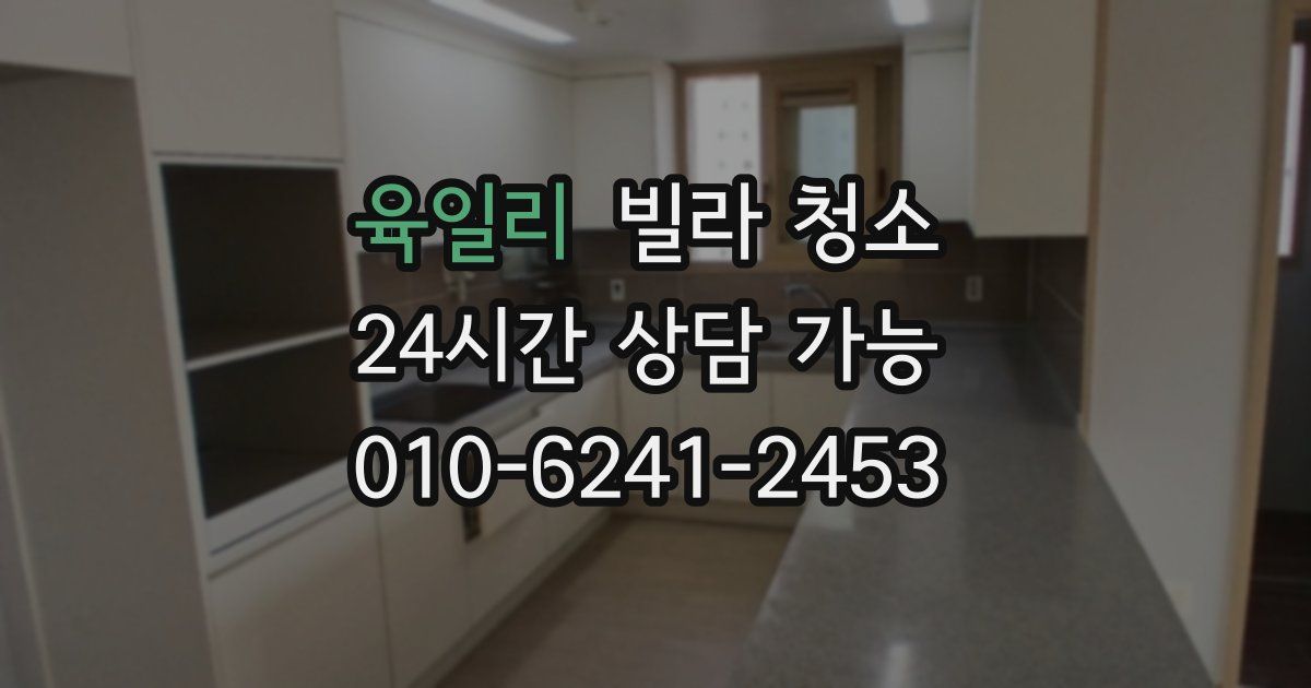 육일리 빌라 청소