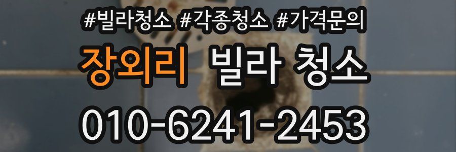 장외리 빌라 청소