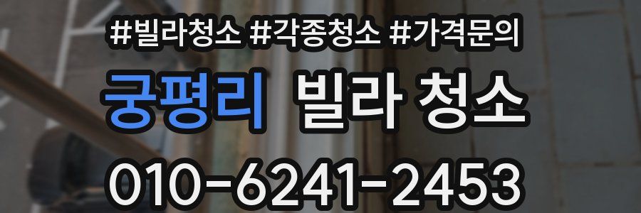 궁평리 빌라 청소