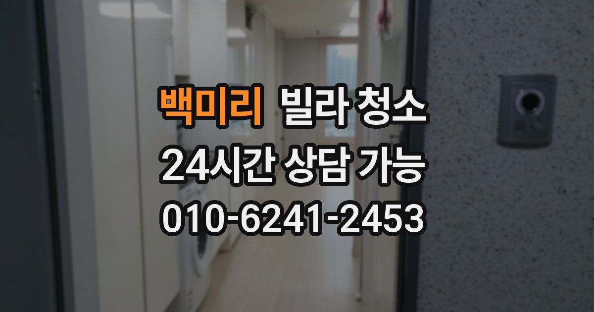 백미리 빌라 청소