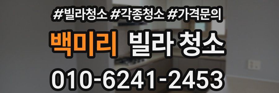 백미리 빌라 청소