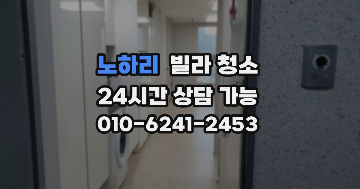 노하리 빌라 청소