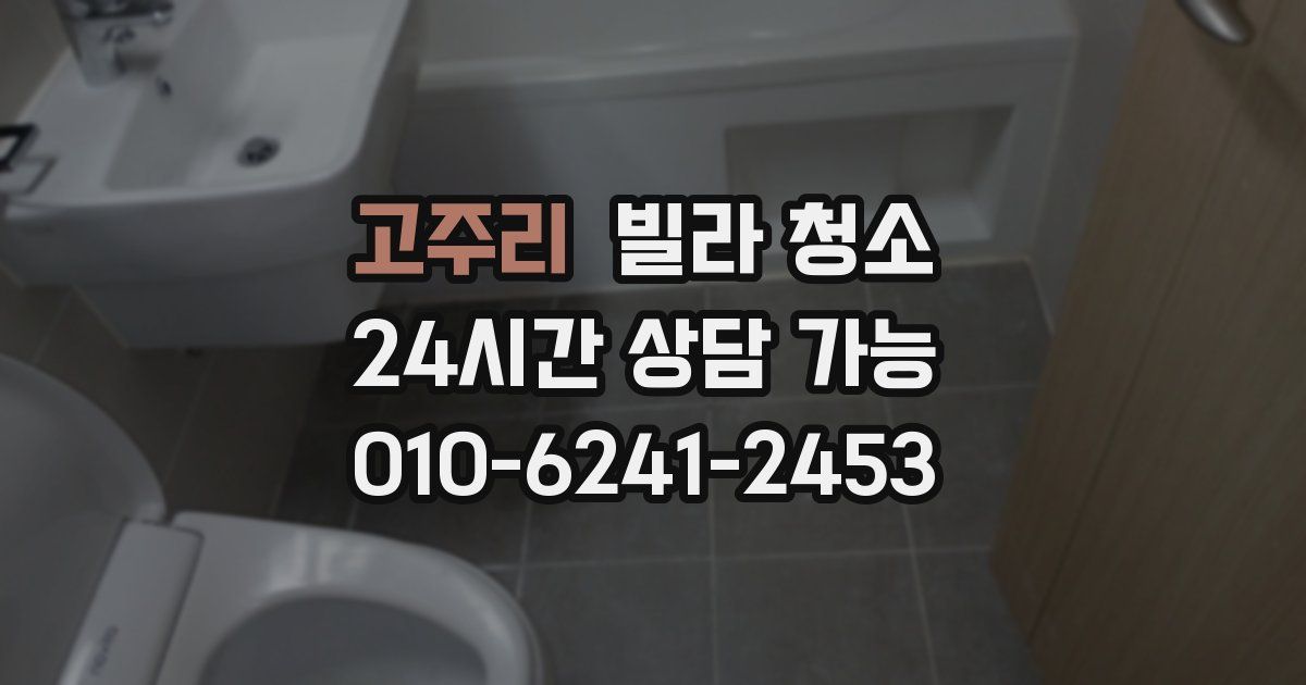 고주리 빌라 청소