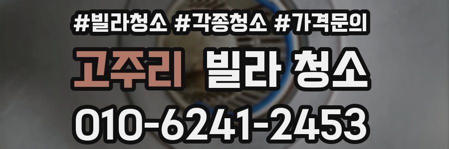 고주리 빌라 청소