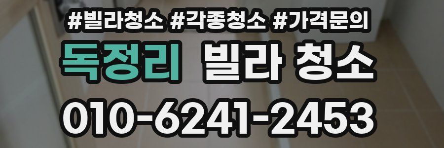 독정리 빌라 청소