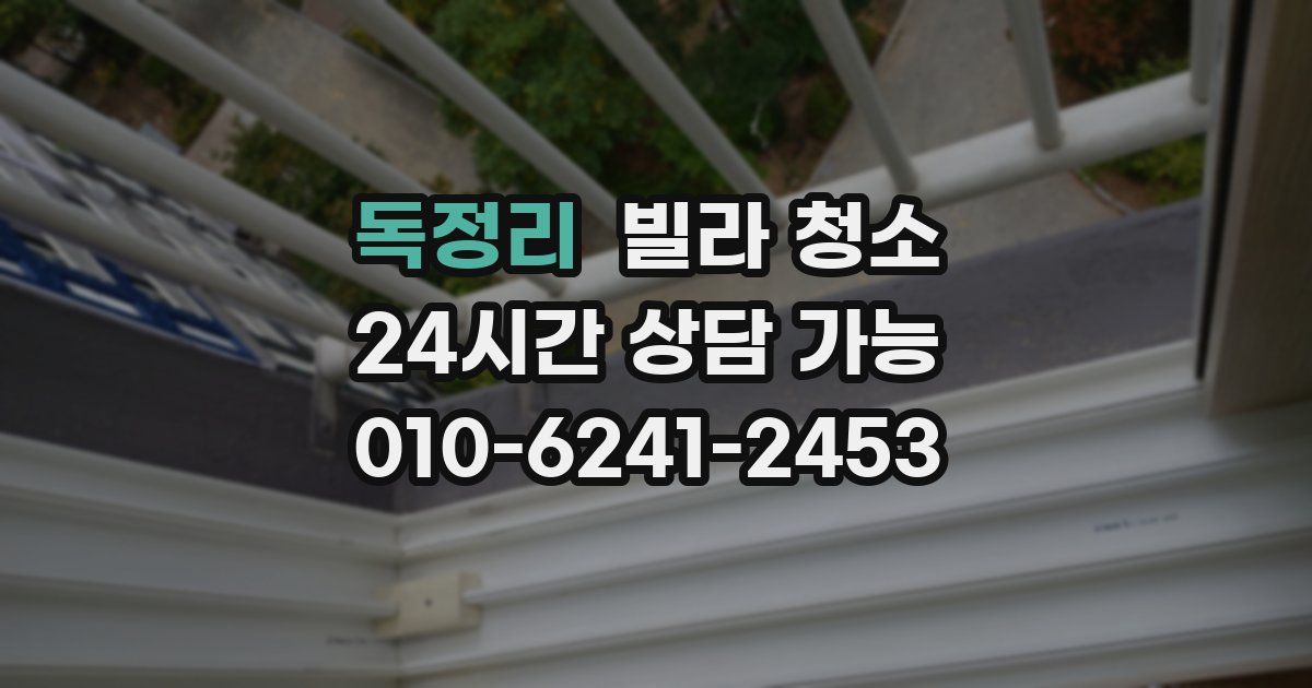 독정리 빌라 청소