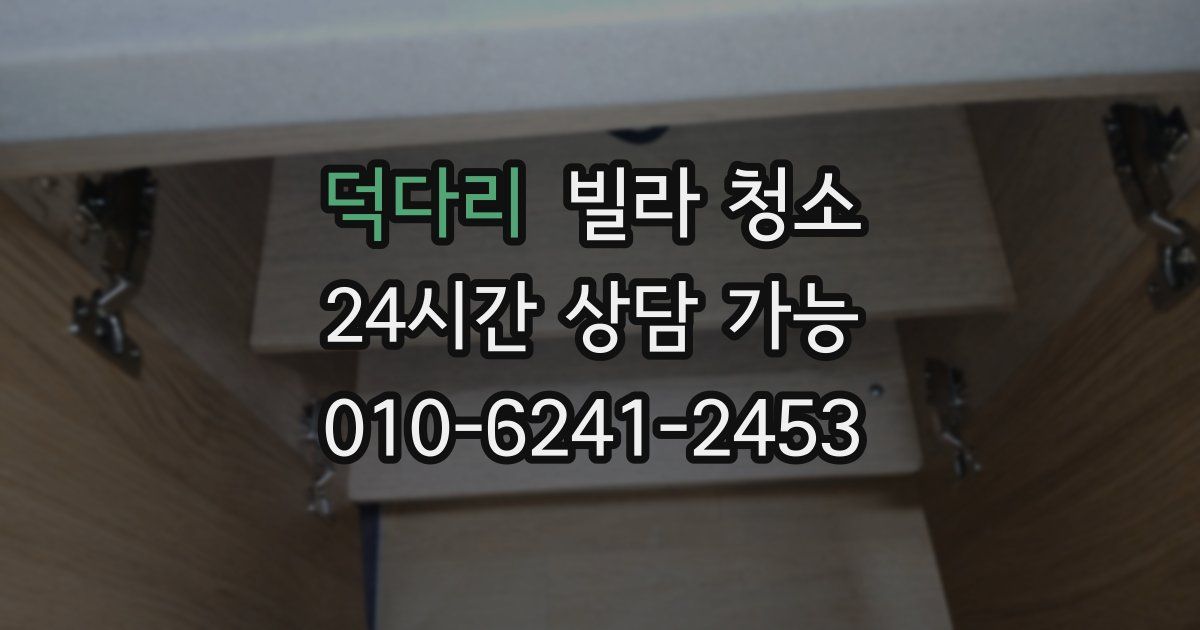 덕다리 빌라 청소