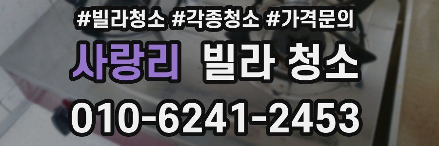 사랑리 빌라 청소