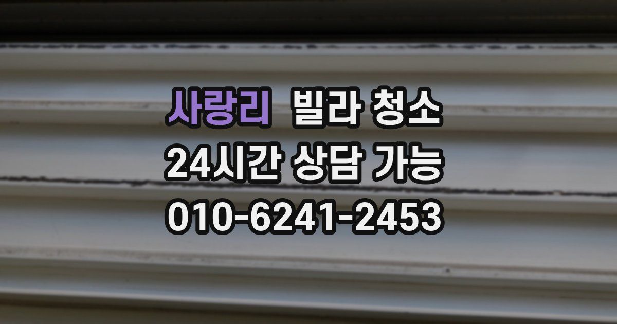 사랑리 빌라 청소
