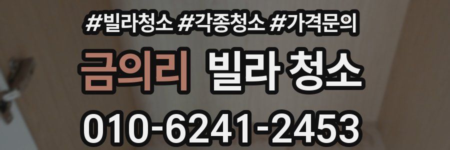 금의리 빌라 청소