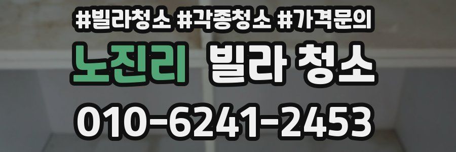 노진리 빌라 청소